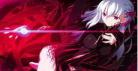 fate迷失之蝶未删减版